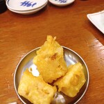 釣宿酒場マヅメ - 