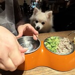 DDSK サイゴン キッチン - 