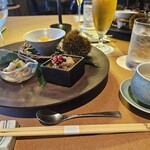 TERRACE - 
