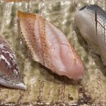 海鮮道楽 ととや - 真あじ、のど黒、小肌