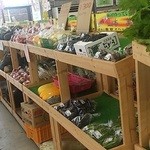 きのこ王国 - 野菜売り場