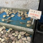 白鳥丸 - 生簀　はまぐり