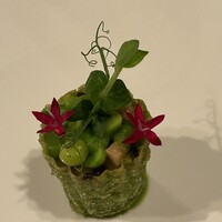リストランテ アキタ 南青山 - 