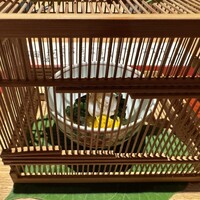 御料理ふじ居 - 