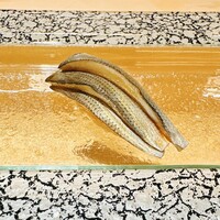 鮨とみ田 - 