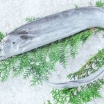 猿蔵 - 