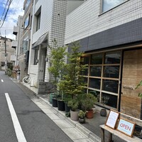 セルサルサーレ - 