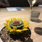 レスピラシオン - 