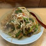 長崎ちゃんぽん・皿うどん 球磨 - 青ネギ皿うどんパリパリ細麺　1.000円