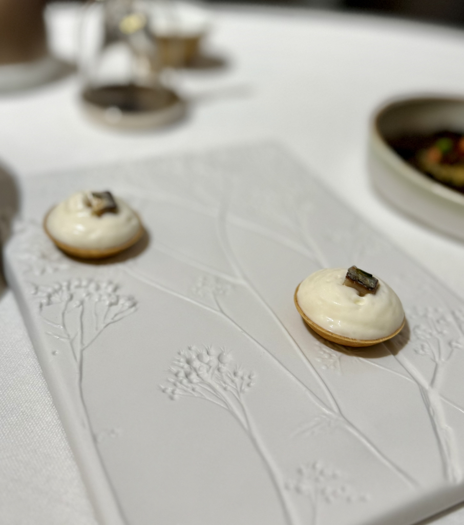 西洋料理 les seeds 96 （レ・シーズ 96）のご予約 - 阿波座/フレンチ