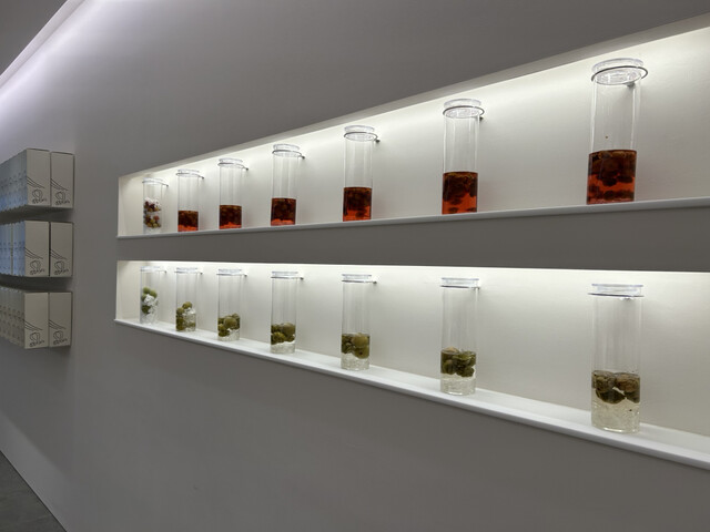 CHOYA UME STUDIO Kyoto Sanjo Ten