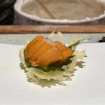 天ぷら 元吉 - 馬糞ウニ 濱中より 大葉
      揚げた大葉の衣のパリパリな食感にとろけるウニ、やはり元吉さんのは別格の美味しさです！！