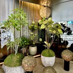 Bar&Restaurant COCONOMA - ホテルの中にあるよ（エントランス）