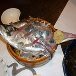 いたる - 新鮮な鯵造り