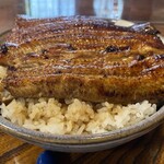 菊水 - 特串重(2025年9月14日撮影)