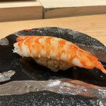 浅草壽司清 - クルマエビ