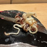 浅草壽司清 - 新イカゲソ