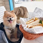 はこね天空のテラス - 料理写真: