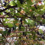 The Old Weavers RESTAURANT - 