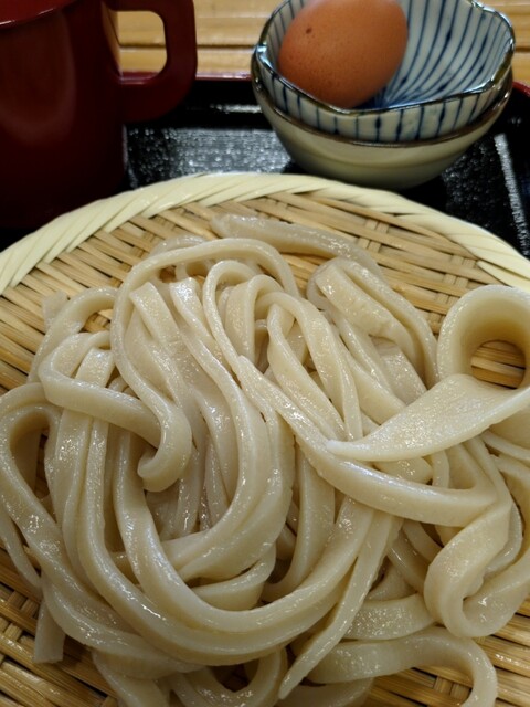 武蔵野うどん やまと - 藤島（うどん）の写真