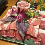 島しゃぶしゃぶNAKAMA - 