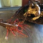 しのはら - 今日の食材♪