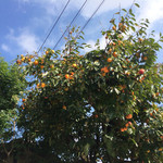 カフェひびきや - 