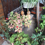 カフェひびきや - 