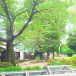 大村庵 - アーケード下の左右は、大山(東北沢)〜新宿新南口まで一本道の"玉川上水遊歩道"。