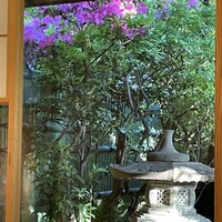 満寿家 -  満寿家 -