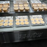 オオスプリンラボラトリーズ - 