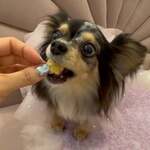 Repos Cafe＆Shisha - 