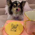 Repos Cafe＆Shisha - 