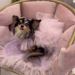 Repos Cafe＆Shisha - 