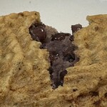 たい焼き 慎之介 - 