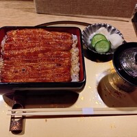 うなぎ 目白ぞろ芽 - 
