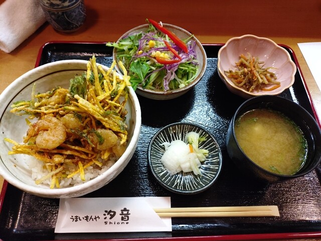 Umaimonya Shione photo 3