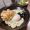 立花うどん
