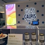 発酵 CALPIS PARLOR - 