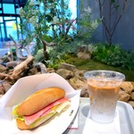 ドトールコーヒーショップ - 料理写真:ミラノセット(930円)