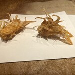 天ぷら やぐち - 