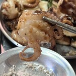 ミリネヤンコプチャン - 