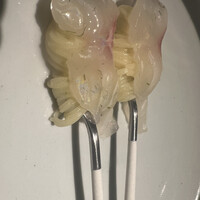 セルサルサーレ - 