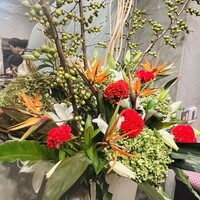 游玄亭 西麻布本館 - 