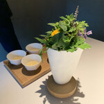 レスピラシオン - 