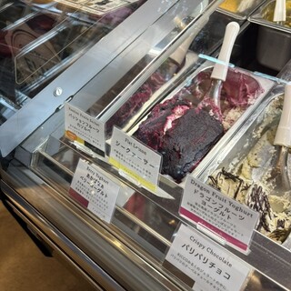 エルモイゾーラ_1