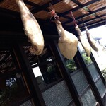 イサオ・クチーナ - 