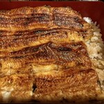 鰻禅 - 見れば見るほど丁寧な焼き入れ