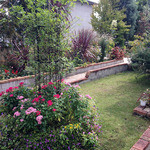 Garden cafe eucalitto - お庭