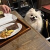 犬茶屋本舗